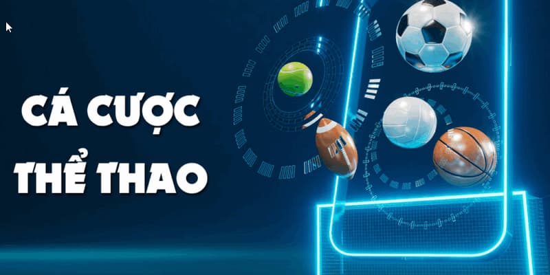 Bức tranh đa sắc của các loại tỷ lệ cá cược bóng đá
